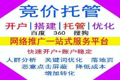 SEM竞价员实战案例分析：数据驱动决策